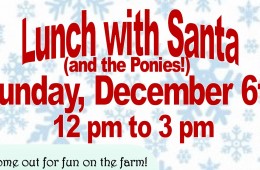Lunch with Santa (and the ponies)!!